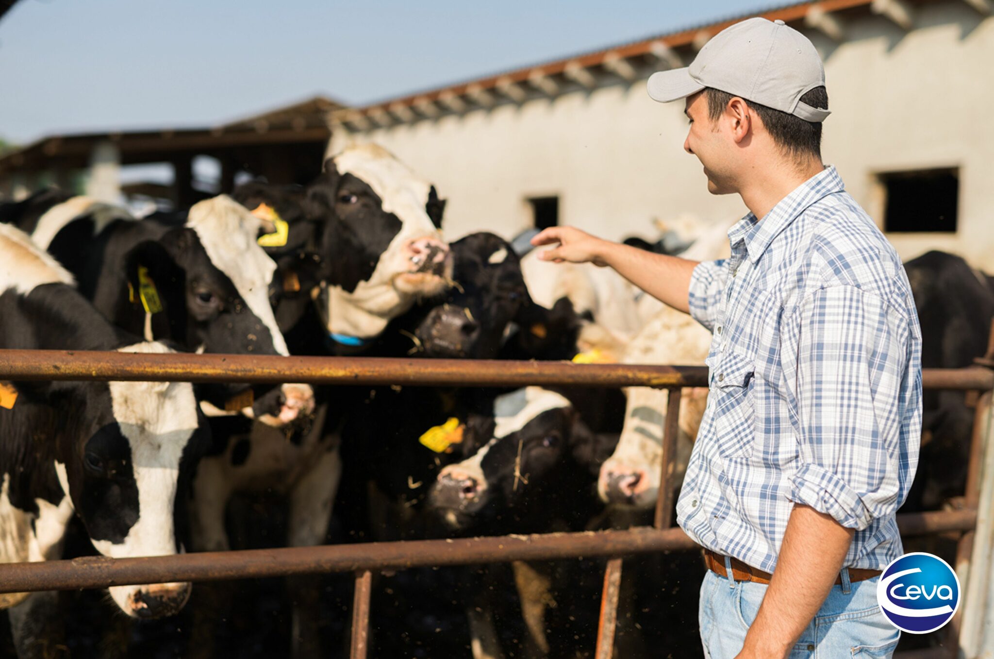 Ceva Salud Animal conciencia sobre la importancia del diagnóstico y