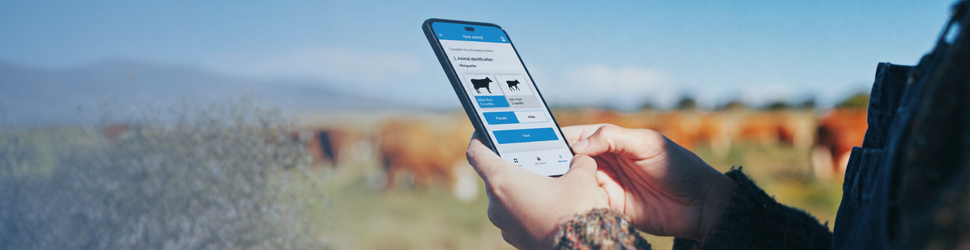 Ceva launches BoviSensor for cattle pain assessment